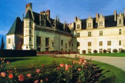 Замок Амбуаз - Франция